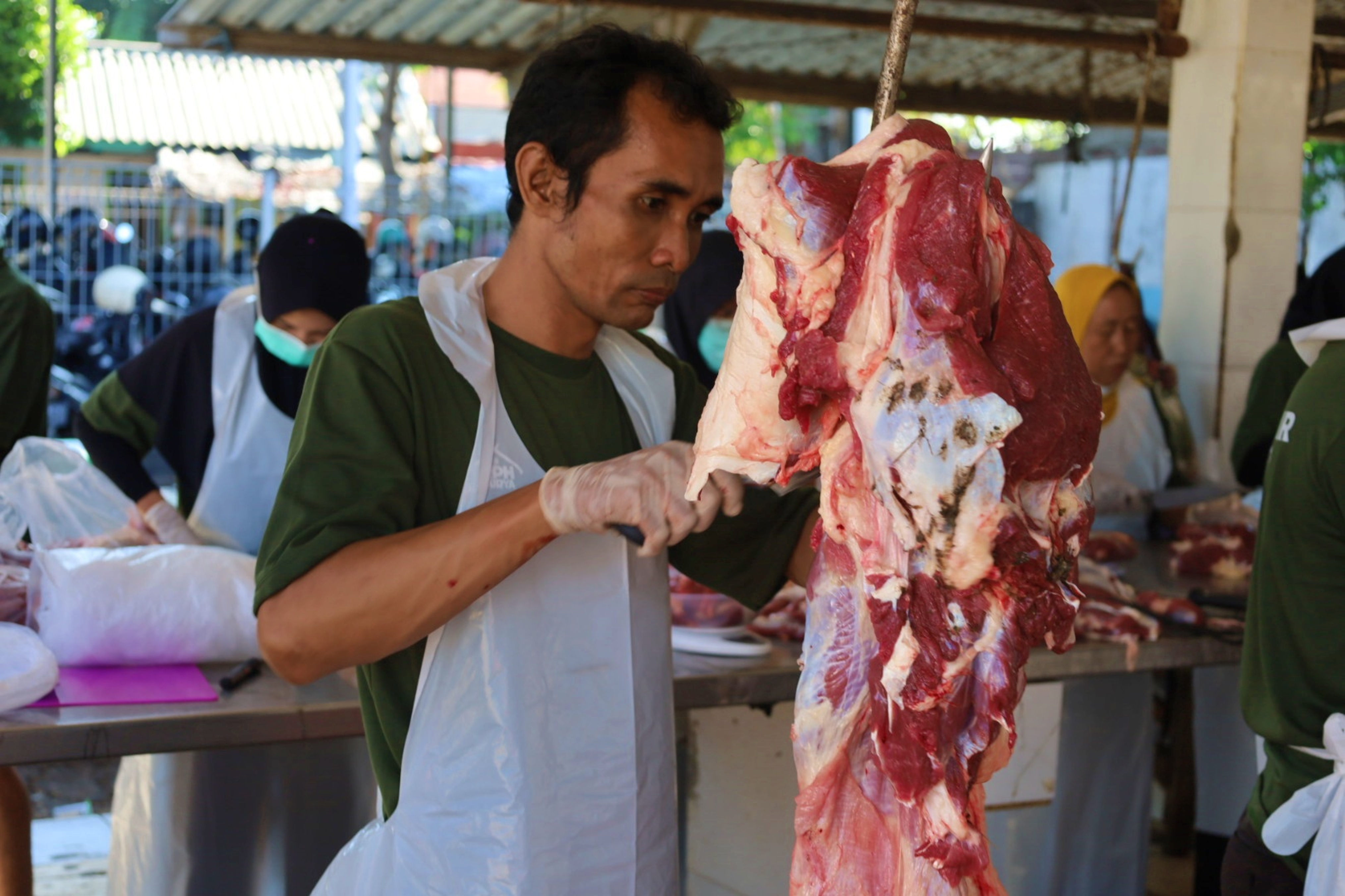 Pasokan Daging Sapi