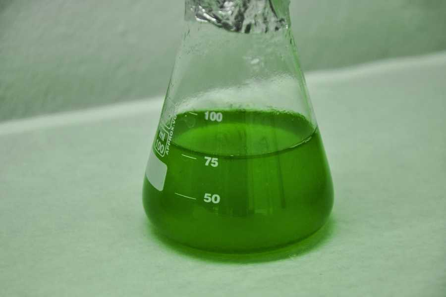 Bioetanol