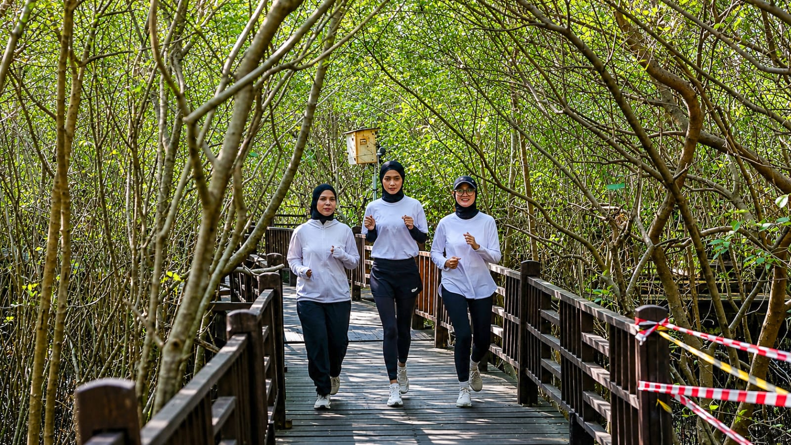 Mangrove Trail Run