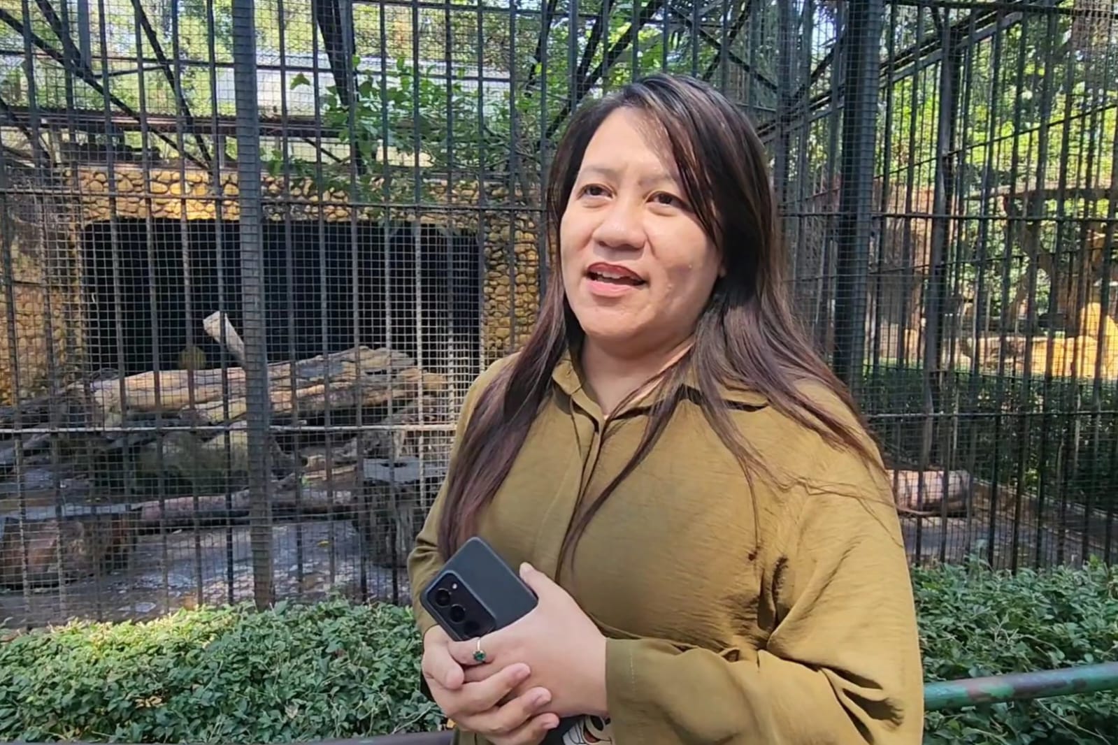 Viral Harimau KBS Kurus