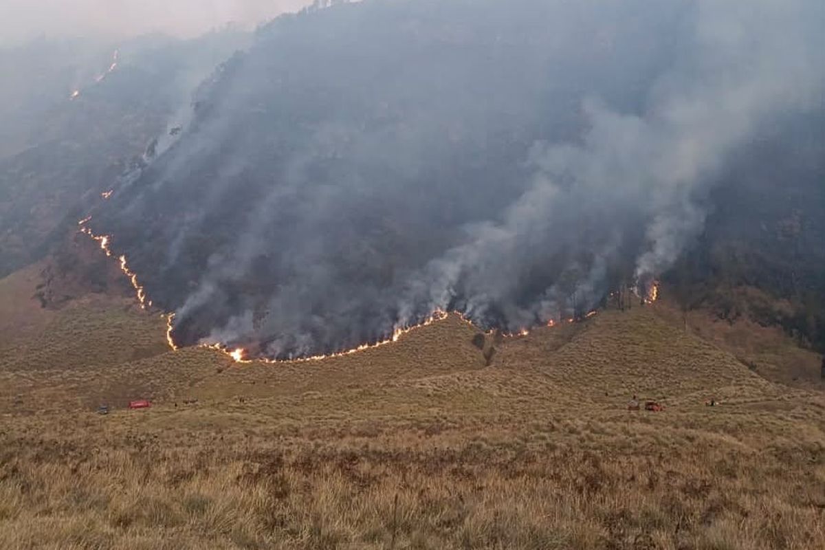 Kebakaran Bromo