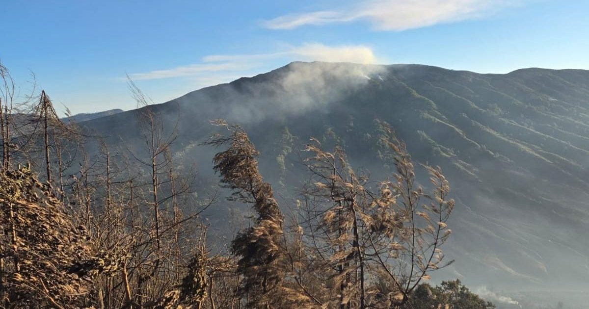 Kebakaran Kawasan Gunung Bromo