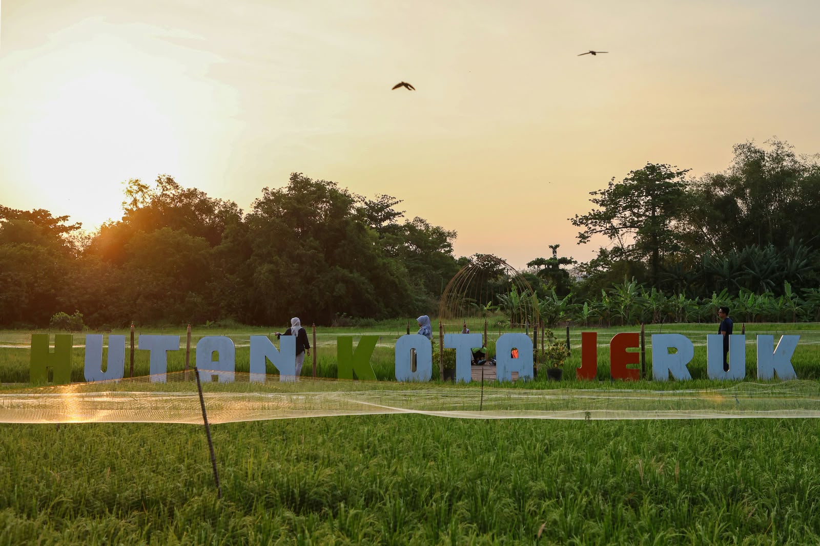 Hutan Kota Jeruk