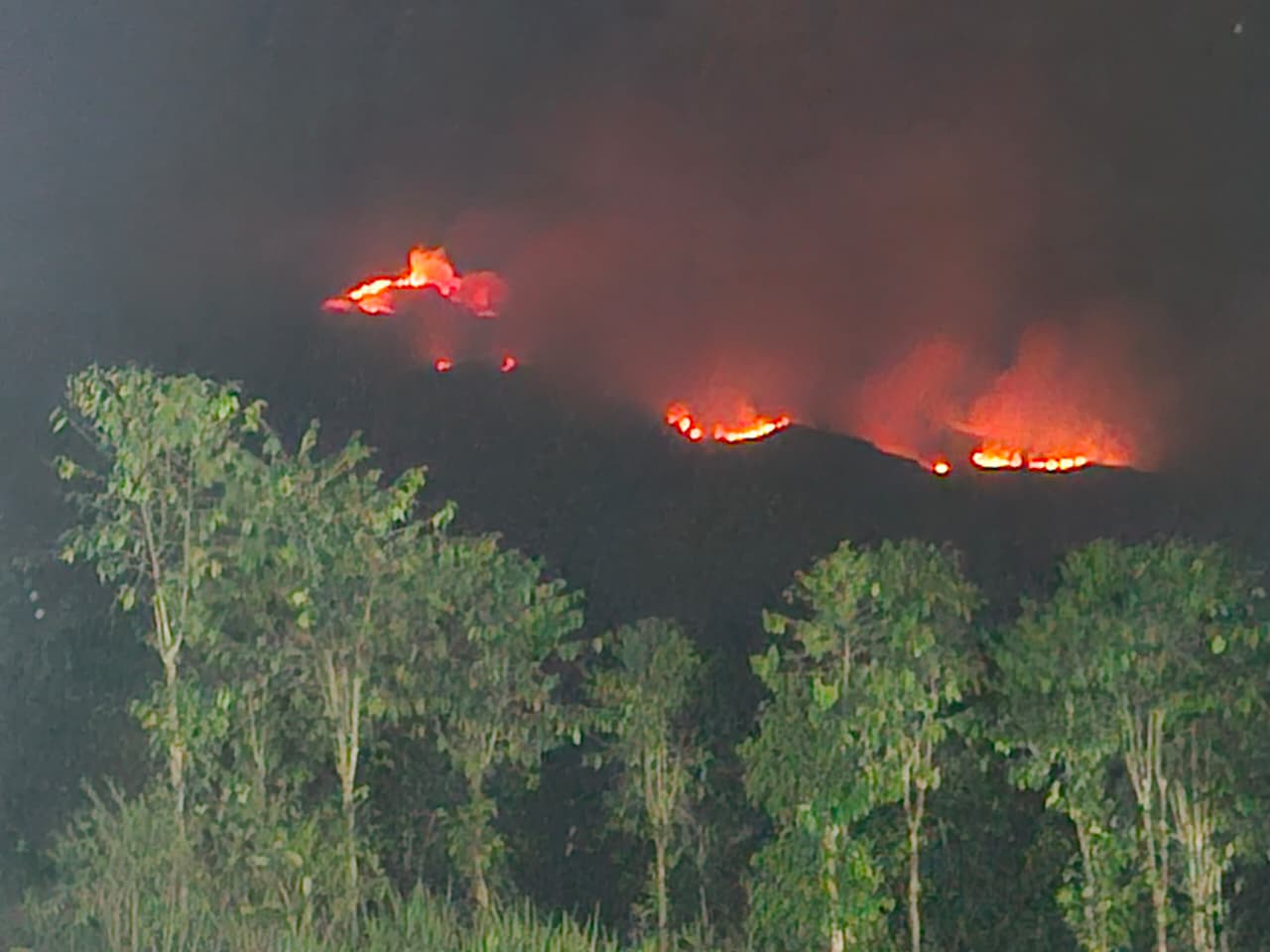 Kebakaran hutan