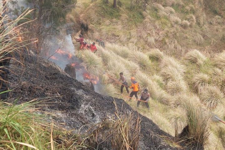 Kebakaran Kawasan Bromo